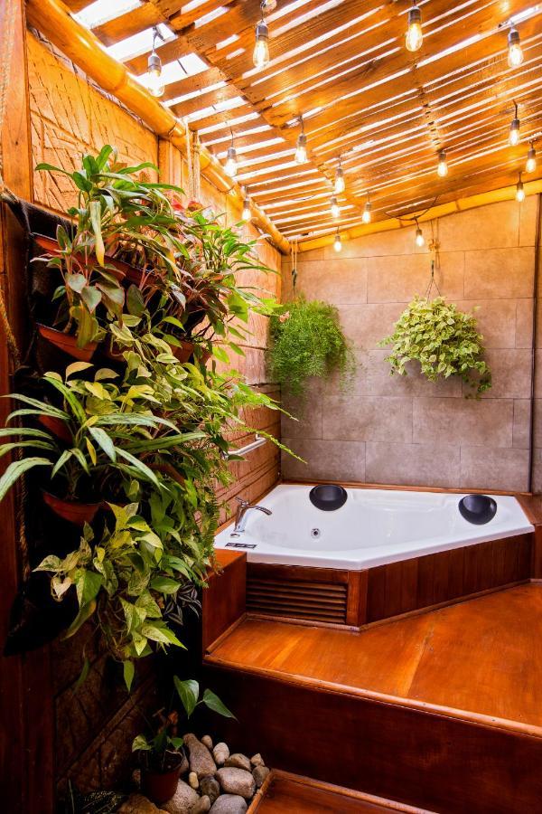 Casa Suculenta ,Monteverde Con Jacuzzi Privado Y Lavanderia 外观 照片