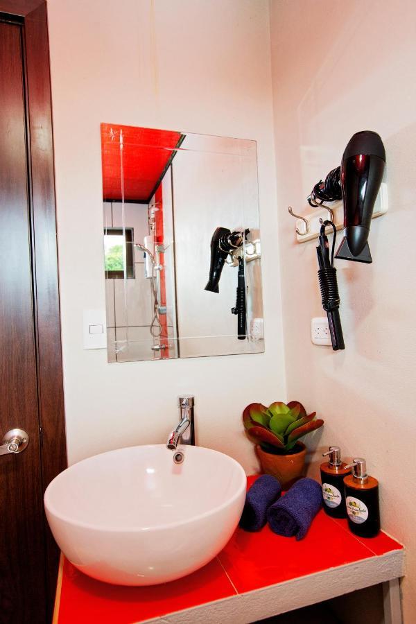 Casa Suculenta ,Monteverde Con Jacuzzi Privado Y Lavanderia 外观 照片
